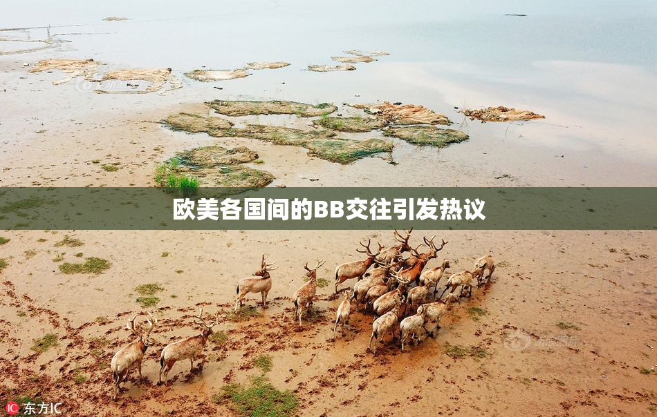 欧美各国间的BB交往引发热议