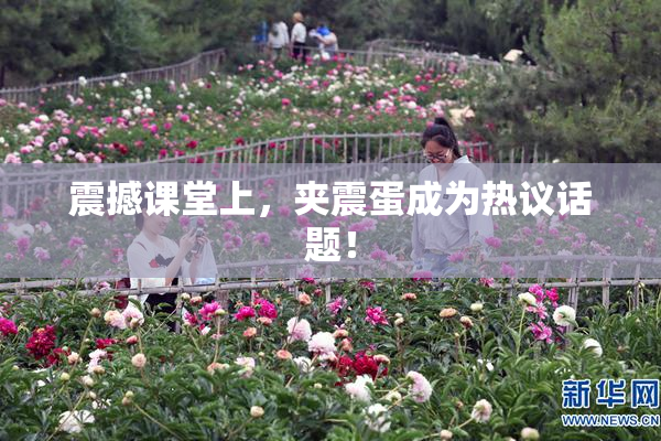 震撼课堂上，夹震蛋成为热议话题！