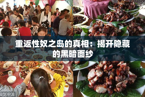重返性奴之岛的真相：揭开隐藏的黑暗面纱
