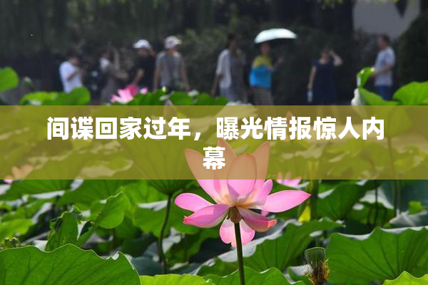 间谍回家过年，曝光情报惊人内幕