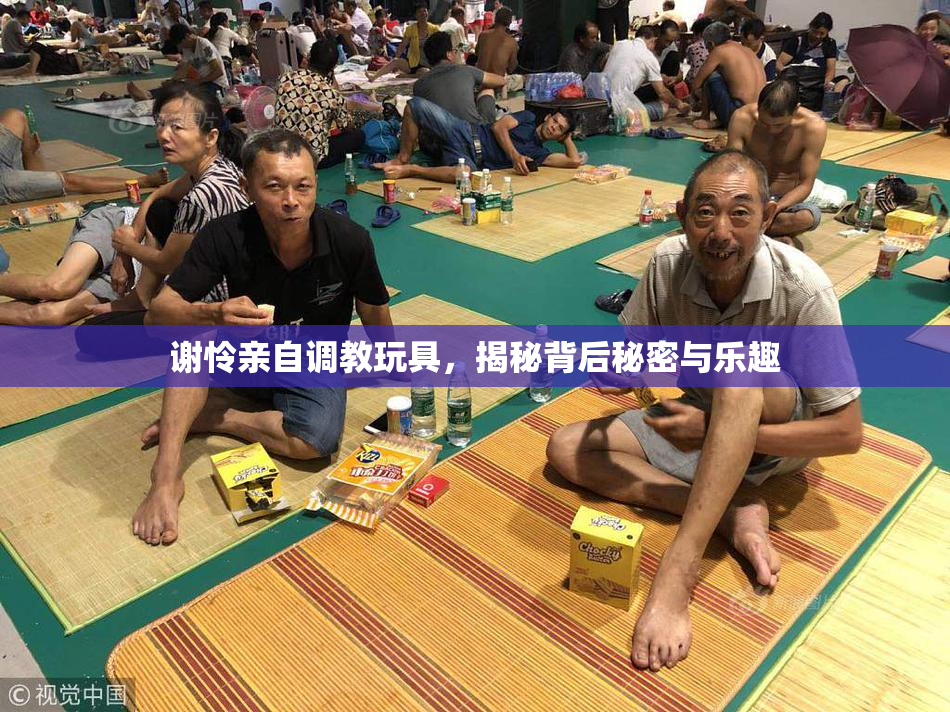 谢怜亲自调教玩具，揭秘背后秘密与乐趣