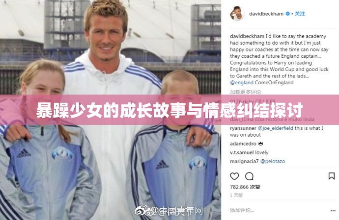 暴躁少女的成长故事与情感纠结探讨