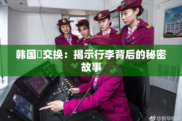 韩国巜交换：揭示行李背后的秘密故事