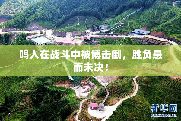 鸣人在战斗中被博击倒，胜负悬而未决！