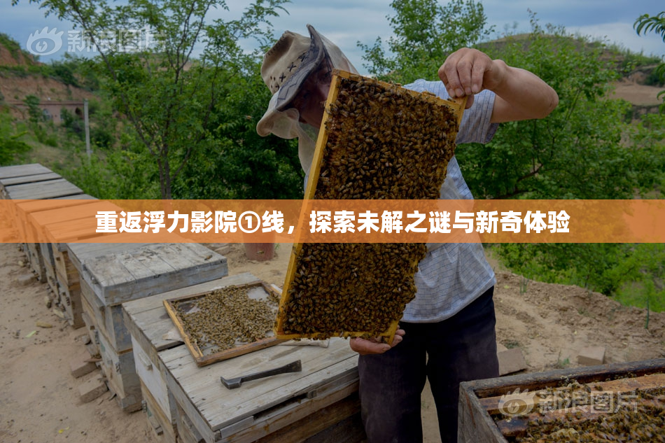 重返浮力影院①线，探索未解之谜与新奇体验