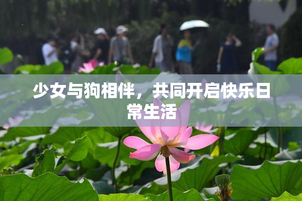 少女与狗相伴，共同开启快乐日常生活