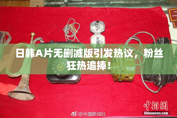 日韩A片无删减版引发热议，粉丝狂热追捧！