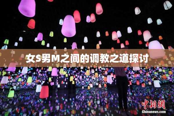 女S男M之间的调教之道探讨