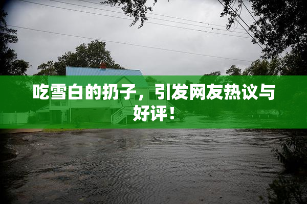 吃雪白的扔子，引发网友热议与好评！
