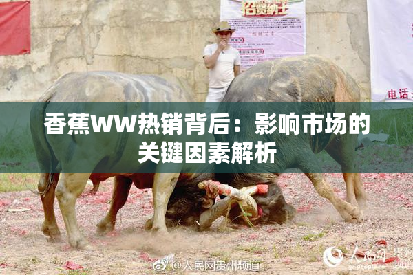 香蕉WW热销背后：影响市场的关键因素解析