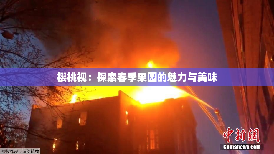 樱桃视：探索春季果园的魅力与美味