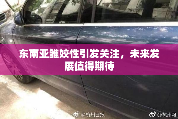 东南亚雏姣性引发关注，未来发展值得期待