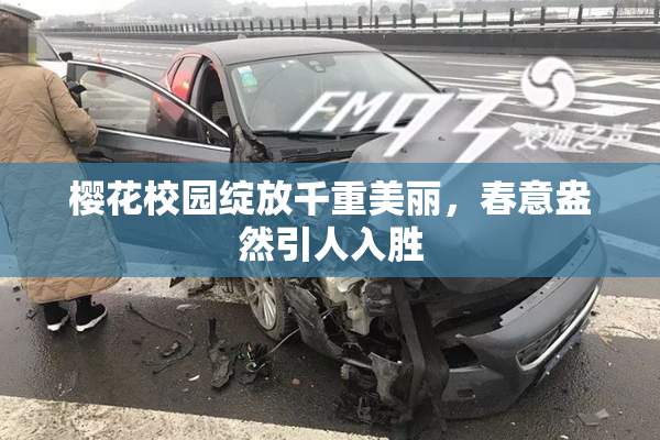 樱花校园绽放千重美丽，春意盎然引人入胜