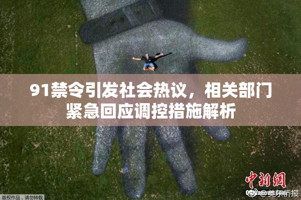91禁令引发社会热议，相关部门紧急回应调控措施解析