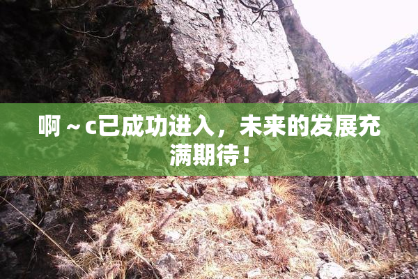 啊～c已成功进入，未来的发展充满期待！