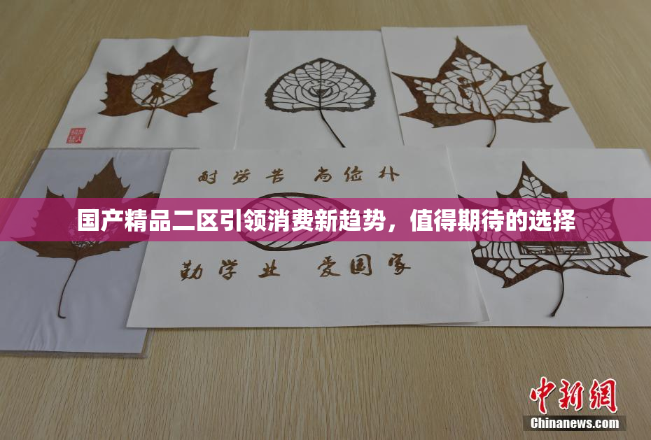 国产精品二区引领消费新趋势，值得期待的选择