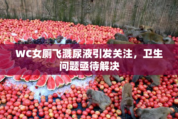 WC女厕飞溅尿液引发关注，卫生问题亟待解决