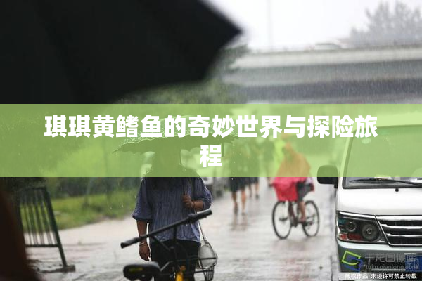 琪琪黄鳍鱼的奇妙世界与探险旅程