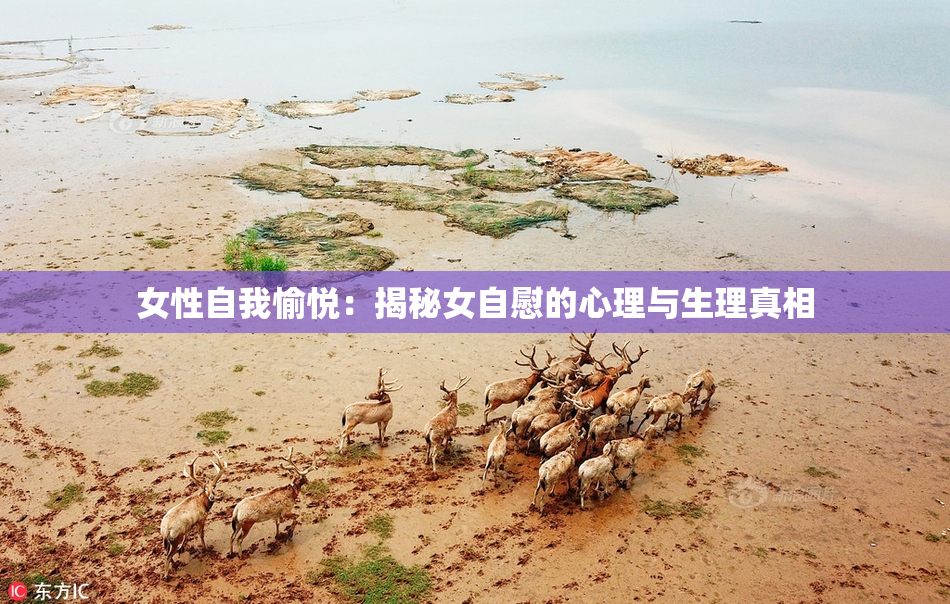 女性自我愉悦：揭秘女自慰的心理与生理真相