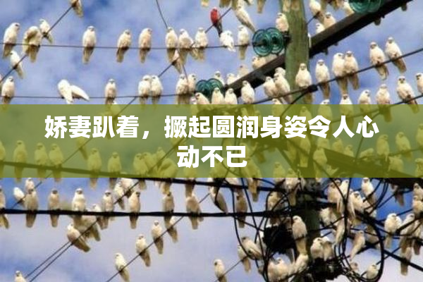 娇妻趴着，撅起圆润身姿令人心动不已
