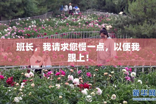 班长，我请求您慢一点，以便我跟上！