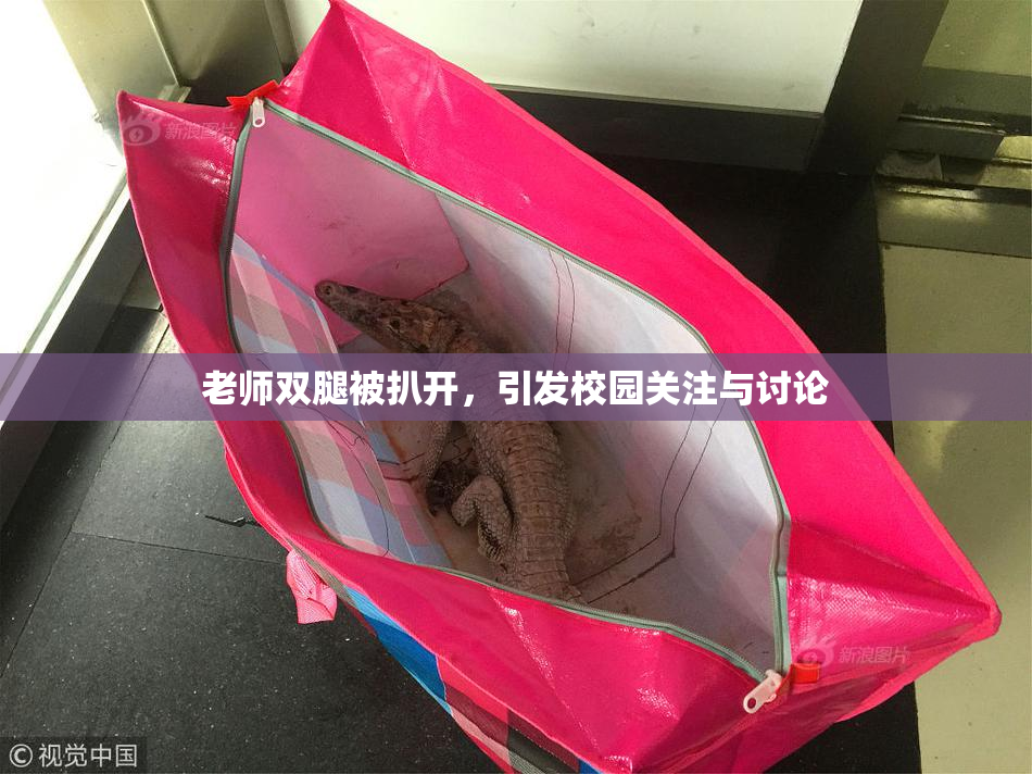 老师双腿被扒开，引发校园关注与讨论