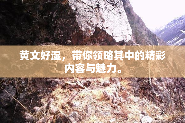 黄文好湿，带你领略其中的精彩内容与魅力。