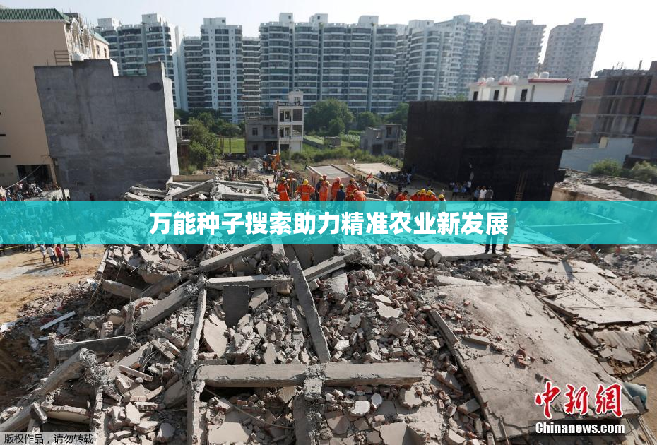 万能种子搜索助力精准农业新发展