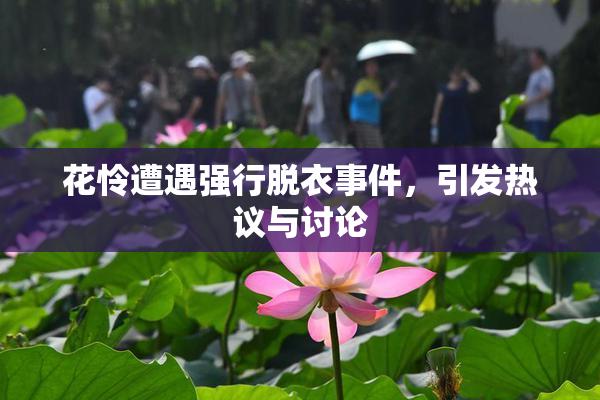 花怜遭遇强行脱衣事件，引发热议与讨论