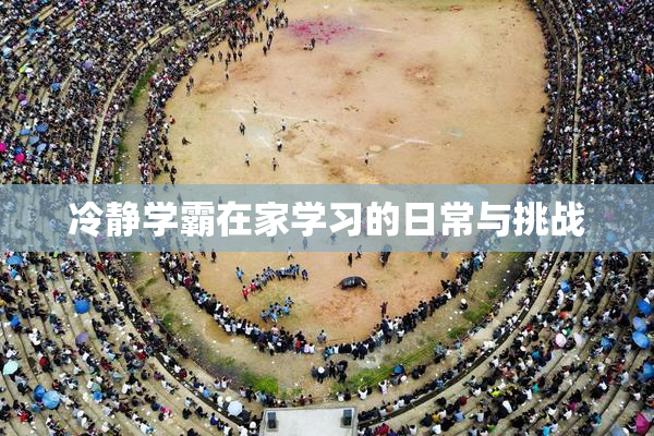 冷静学霸在家学习的日常与挑战