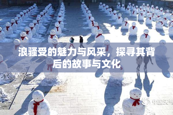 浪骚受的魅力与风采，探寻其背后的故事与文化