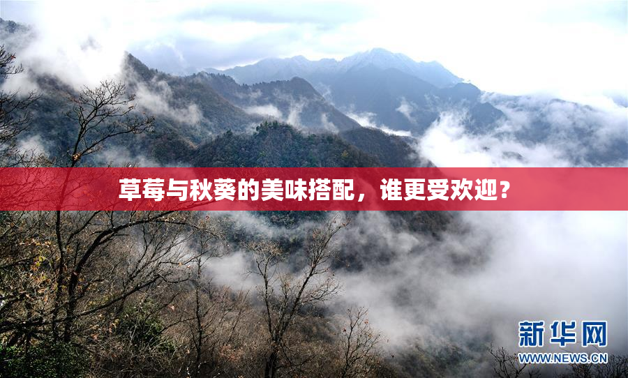 草莓与秋葵的美味搭配，谁更受欢迎？