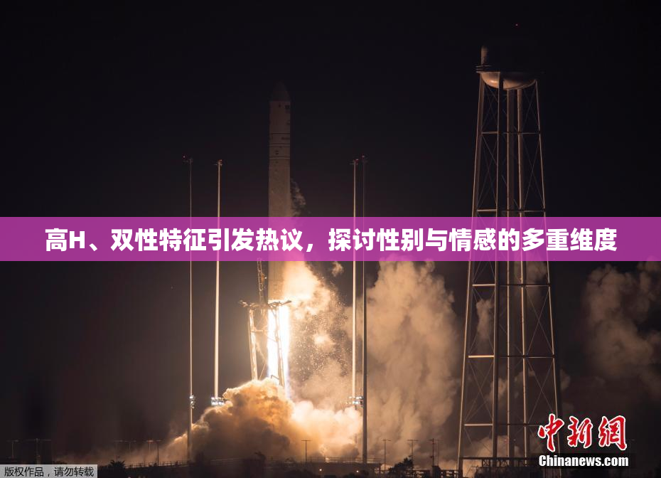 高H、双性特征引发热议，探讨性别与情感的多重维度