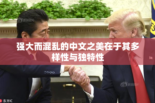 强大而混乱的中文之美在于其多样性与独特性