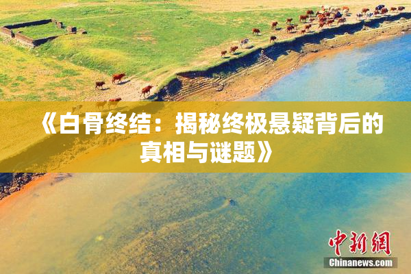 《白骨终结：揭秘终极悬疑背后的真相与谜题》