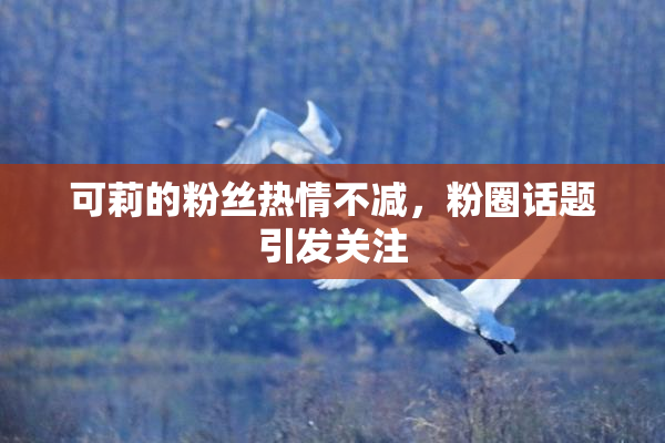 可莉的粉丝热情不减，粉圈话题引发关注