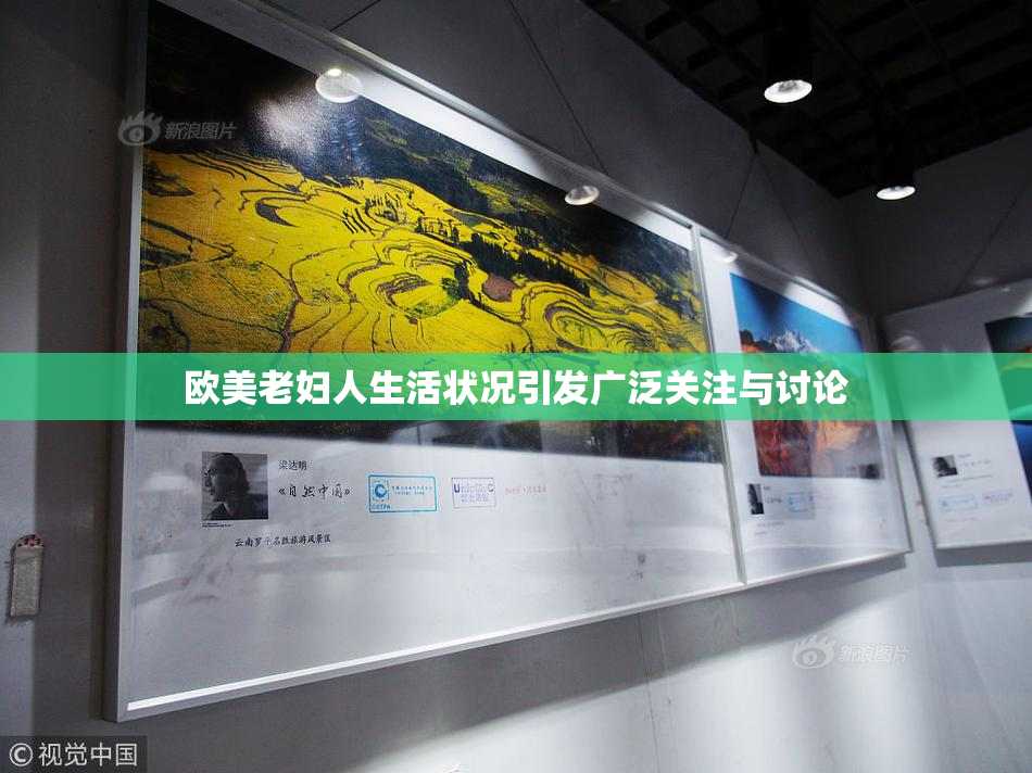 欧美老妇人生活状况引发广泛关注与讨论