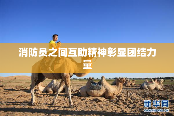 消防员之间互助精神彰显团结力量