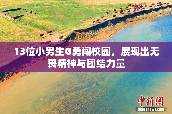 13位小男生G勇闯校园，展现出无畏精神与团结力量