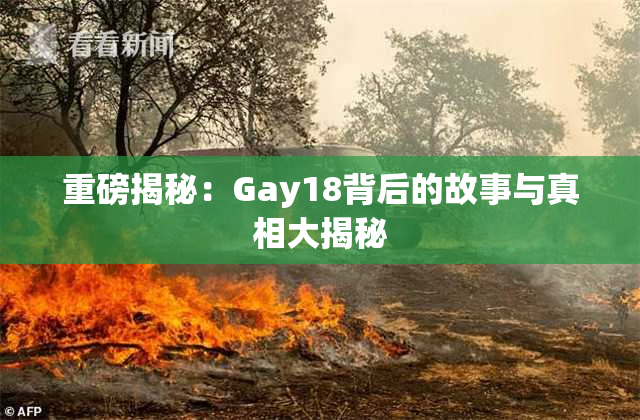重磅揭秘：Gay18背后的故事与真相大揭秘