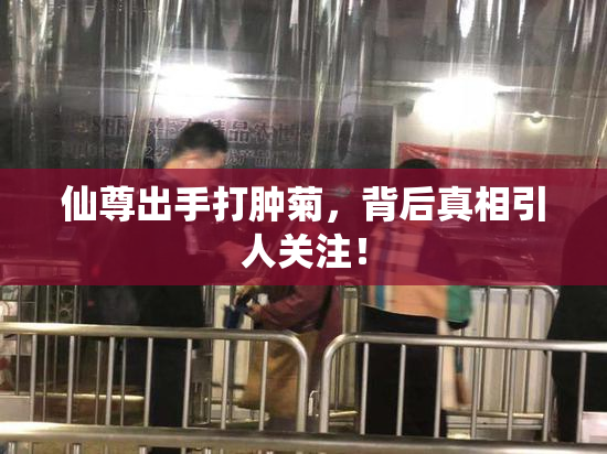 仙尊出手打肿菊，背后真相引人关注！
