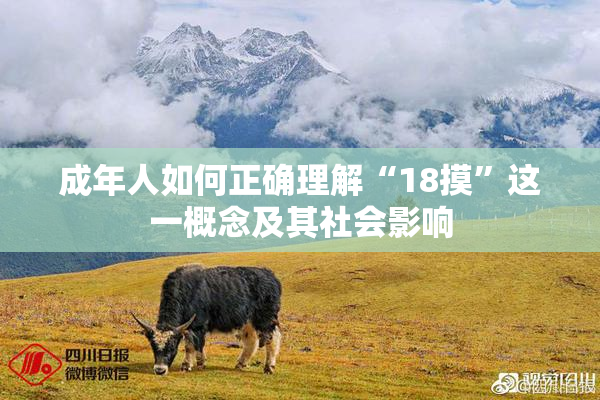 成年人如何正确理解“18摸”这一概念及其社会影响