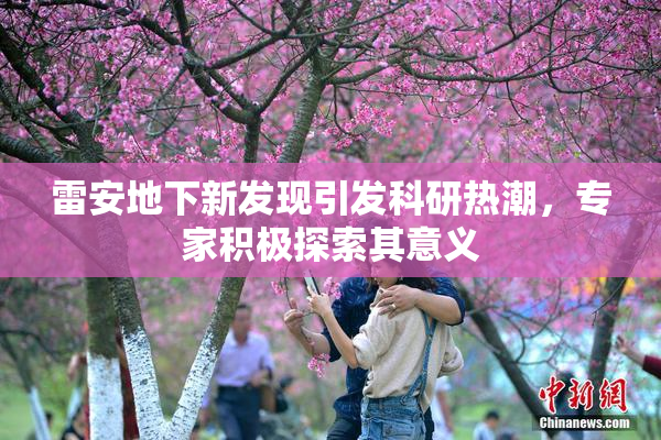 雷安地下新发现引发科研热潮，专家积极探索其意义