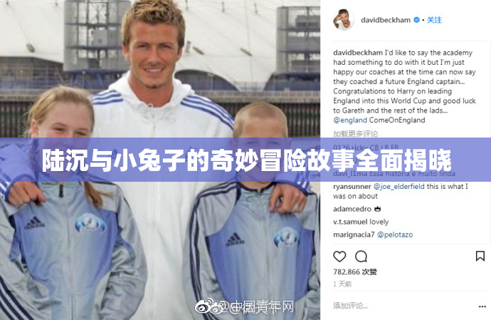 陆沉与小兔子的奇妙冒险故事全面揭晓