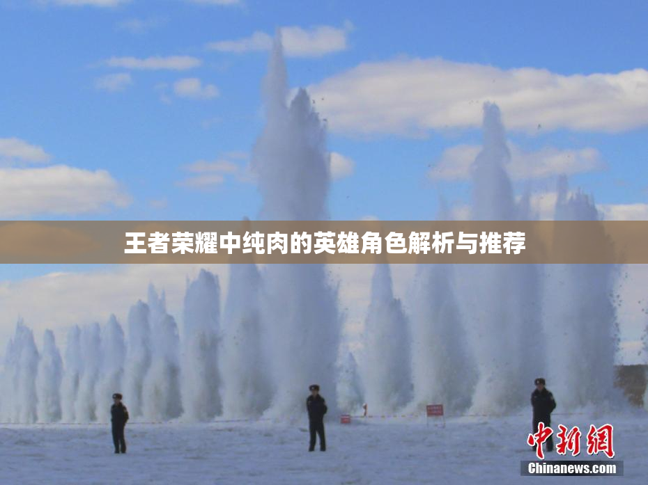 王者荣耀中纯肉的英雄角色解析与推荐