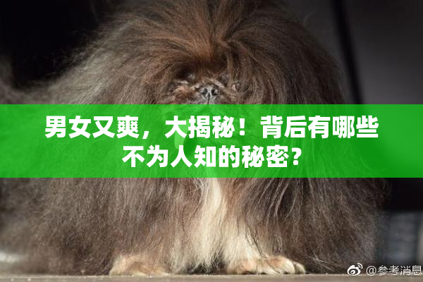 男女又爽，大揭秘！背后有哪些不为人知的秘密？