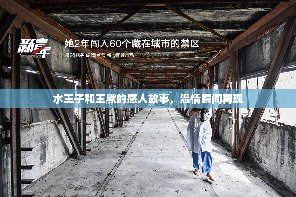水王子和王默的感人故事，温情瞬间再现