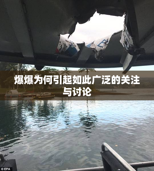 爆爆为何引起如此广泛的关注与讨论