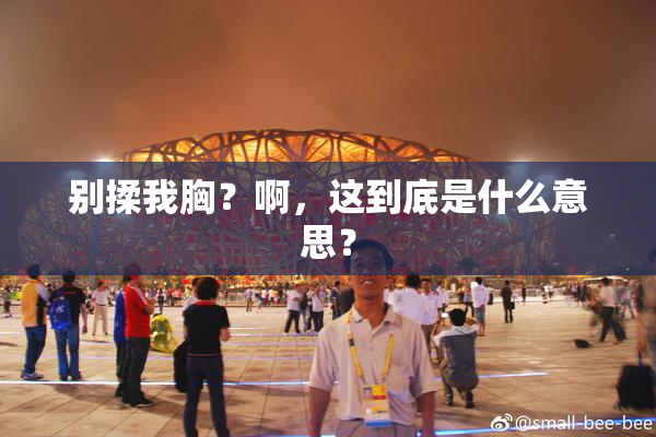 别揉我胸？啊，这到底是什么意思？