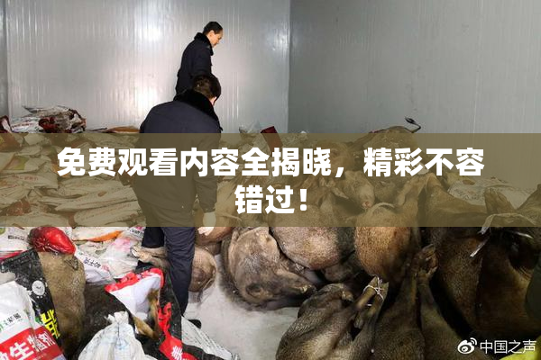 免费观看内容全揭晓，精彩不容错过！